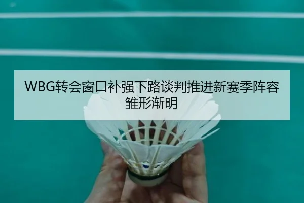 WBG转会窗口补强下路谈判推进新赛季阵容雏形渐明 | VSPORTS