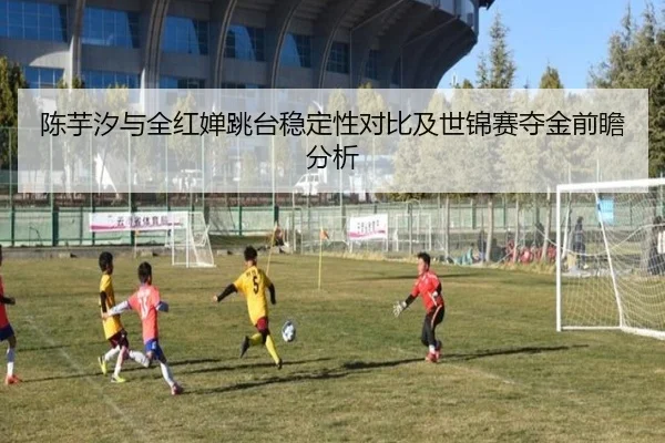 陈芋汐与全红婵跳台稳定性对比及世锦赛夺金前瞻分析 | VSPORTS