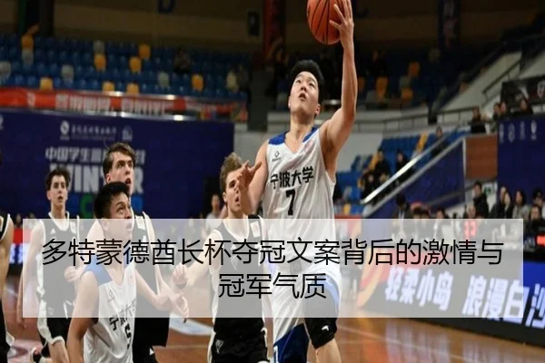 多特蒙德酋长杯夺冠文案背后的激情与冠军气质 | VSPORTS