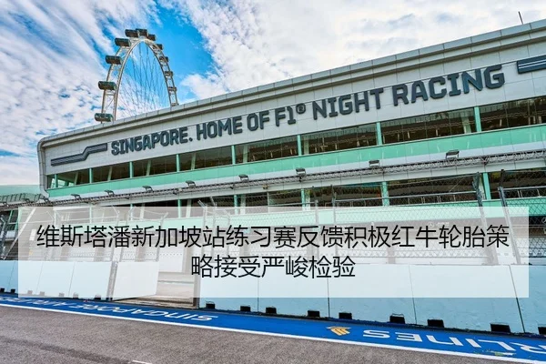 维斯塔潘新加坡站练习赛反馈积极红牛轮胎策略接受严峻检验 | VSPORTS